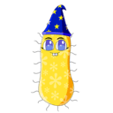 protist